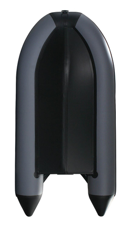 Лодка ПВХ PROFMARINE PM 350 CL