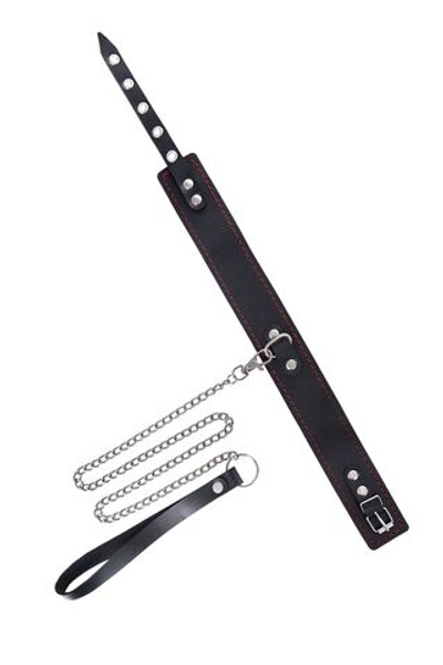 Кожаный двухслойный ошейник с красной строчкой и поводком