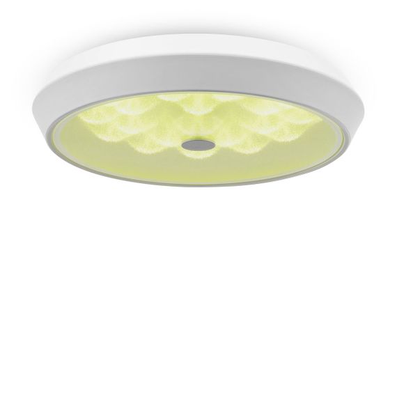Потолочный светодиодный светильник Freya Cells FR10012CL-L24W