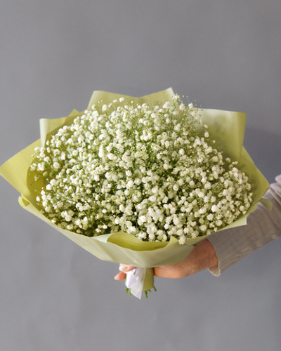 Букет из белой гипсофилы
