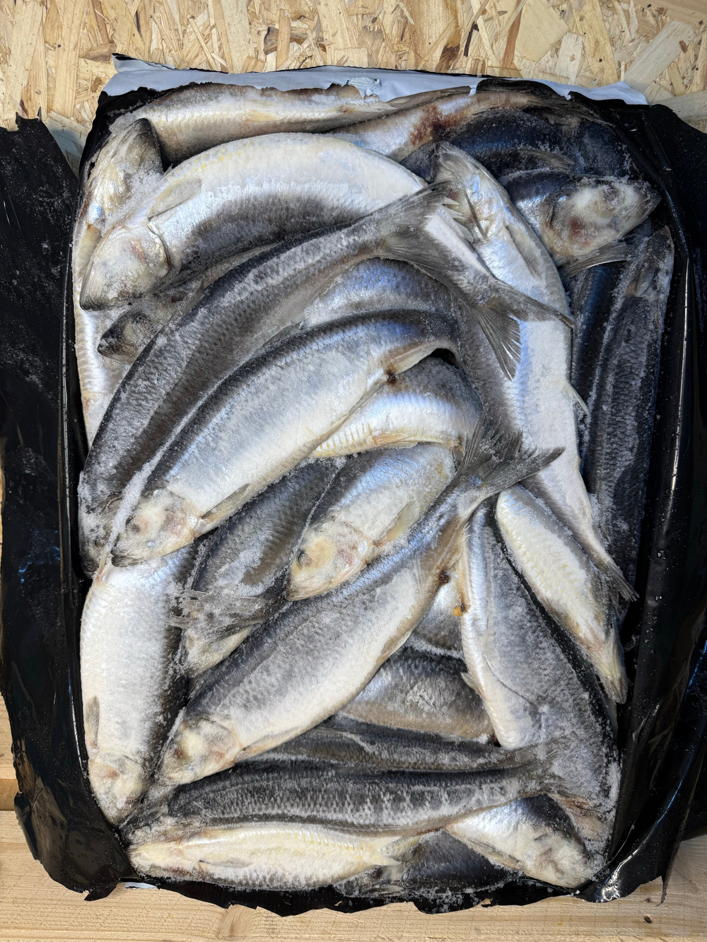 Сельдь 400+ 14.5кг Фарерские Острова