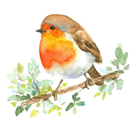 "Птичка. Малиновка", фотокартина (репродукция)