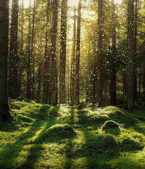 Bois Précieux d'Inde, свеча в мраморе Rinascimento collection, Ladenac Milano