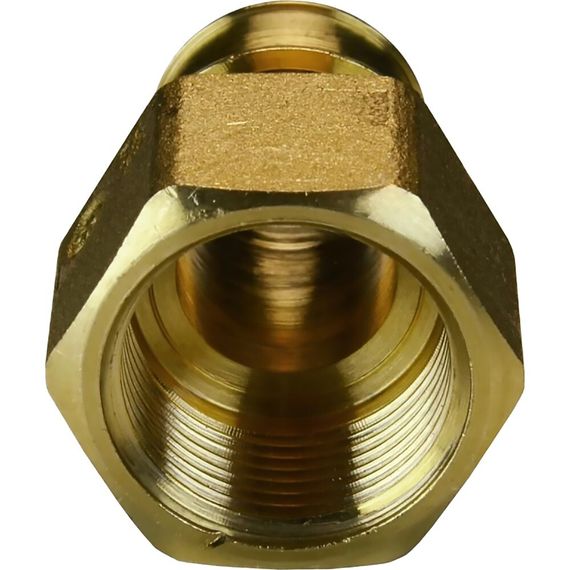 Муфта Giacomini для системы GX ВР 20x1/2, GX109Y034 купить в Москве и Московской области по низкой цене с доставкой по России — (4) Муфта Giacomini для системы GX ВР 20x1/2, GX109Y034 — (4)