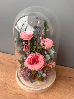 натуральные пионы в колбе