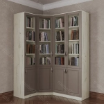 Книжный угловой №5