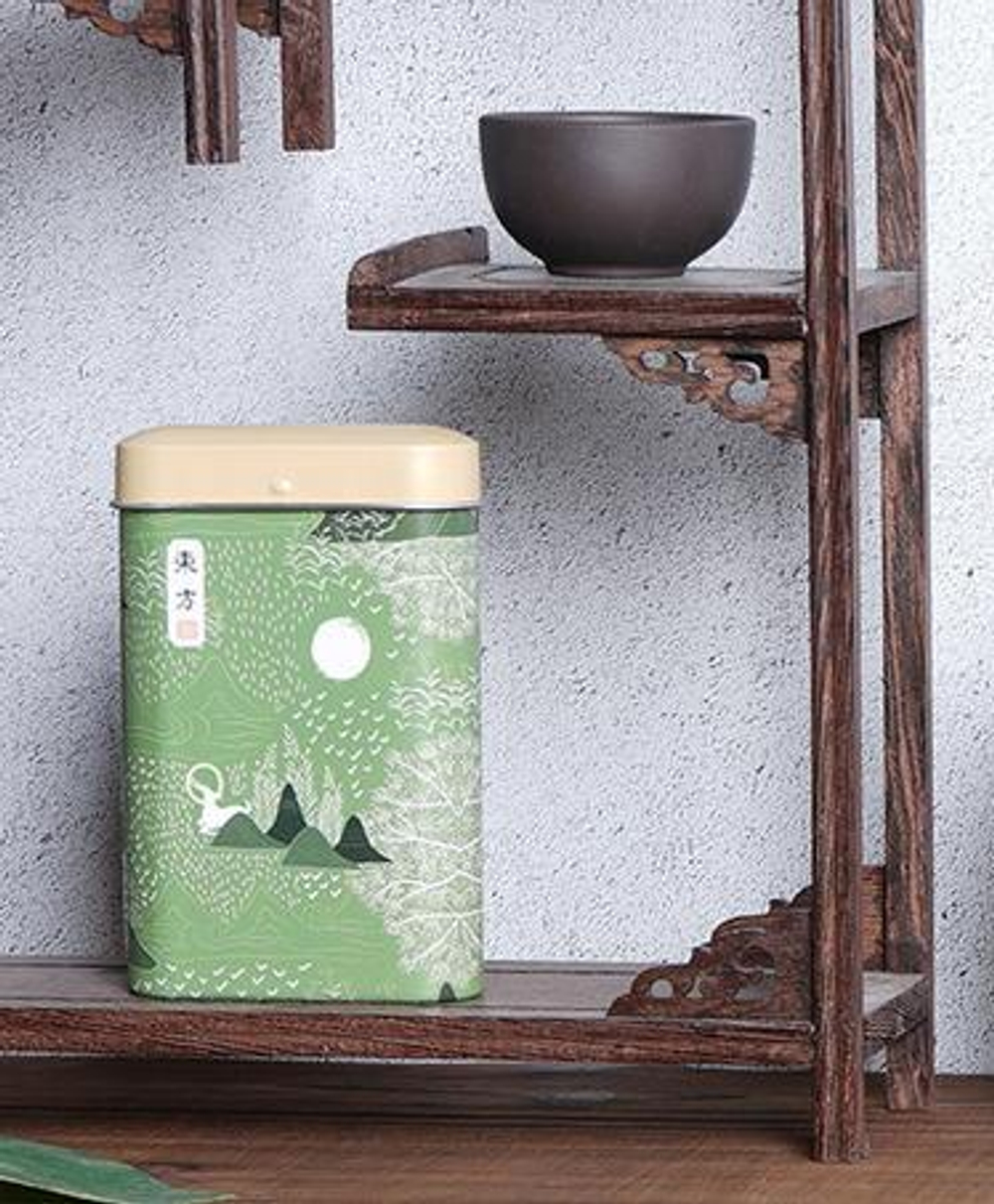 306002.1 Банка ДОРОЖНАЯ ПЛОСКАЯ "Луна" 10,5*6,5см, жесть зеленый