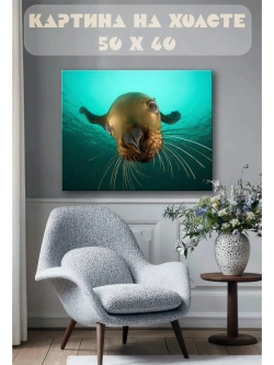 Картина на стену 40 X 50 Тюлень