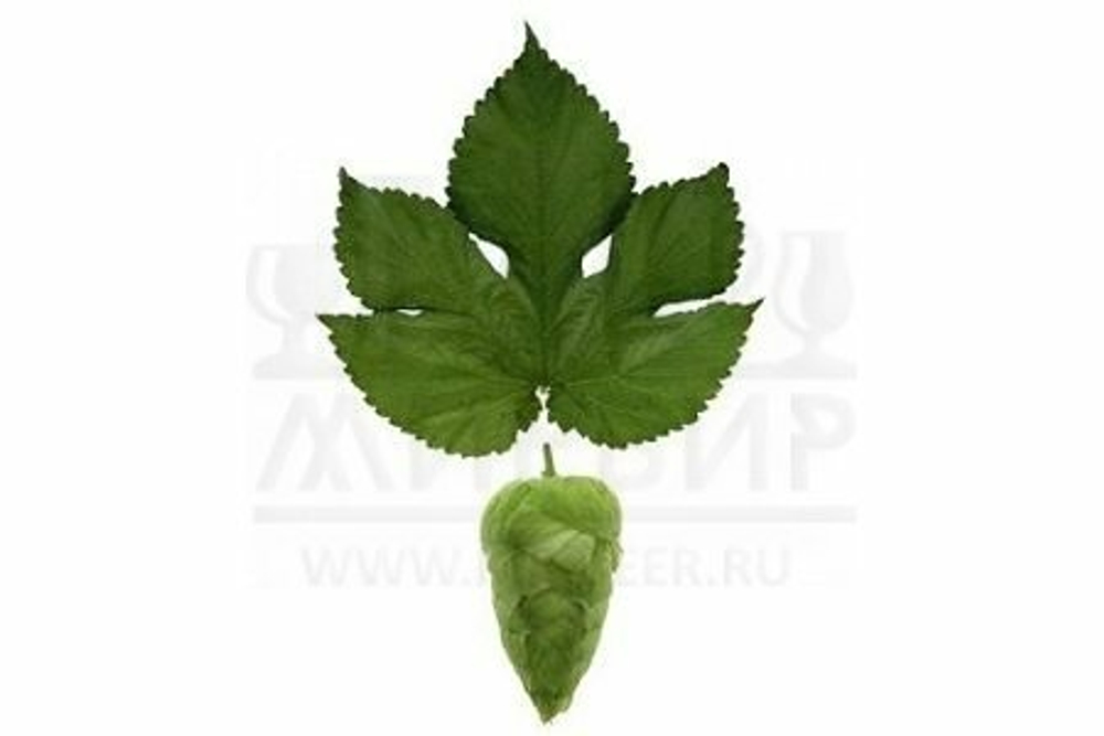 Хмель Citra, 1 кг