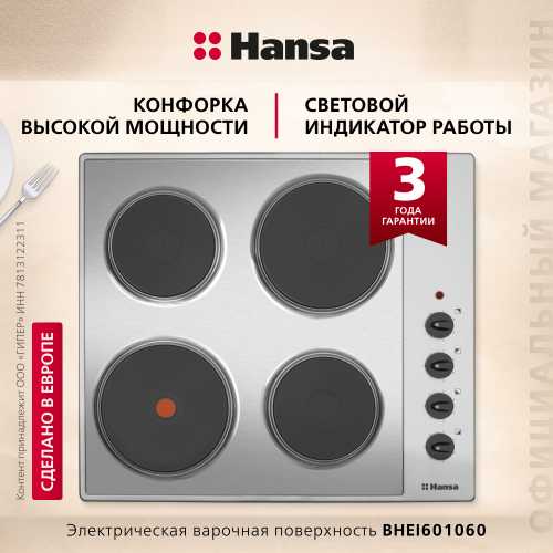 Электрическая панель Hansa BHEI601060