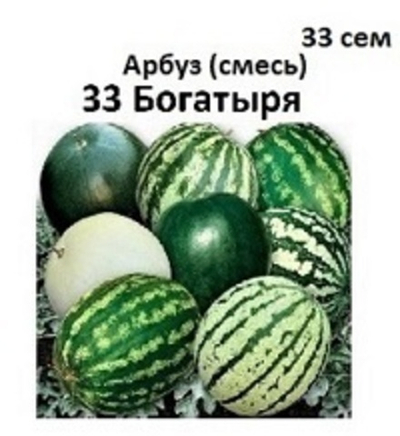 Арбуз 33 Богатыря