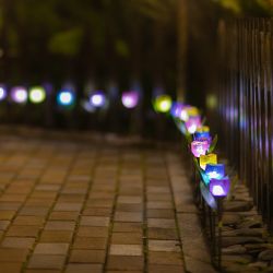 USL-C-451-PT305 PINK TULIP Садовый светильник на солнечной батарее Розовый тюльпан. Белый свет. 1xLR аккумулятор в-к. IP44. TM Uniel.