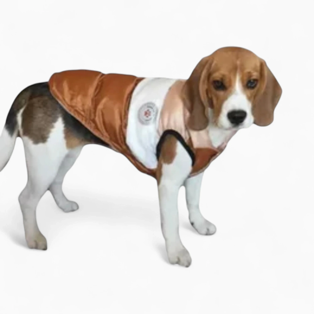 Жилет «Colour»