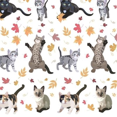 Осенние котята