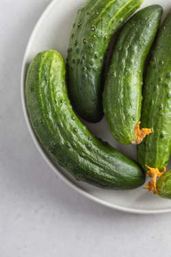 Огурцы сорта Апрельский