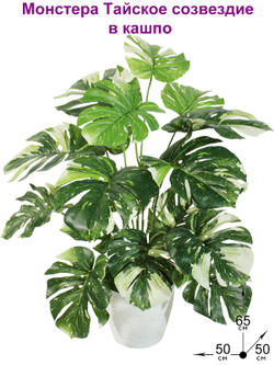 Искусственная Монстера Тайское созвездие 65см в кашпо