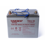 Тяговая аккумуляторная батарея EVEREST TNE 12-90 (6-EVF-70)