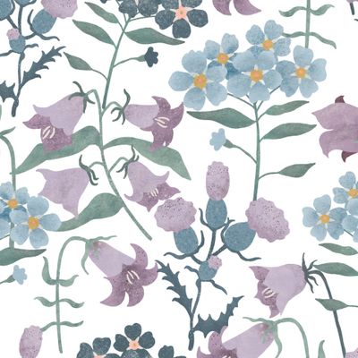 Полевые цвета 2