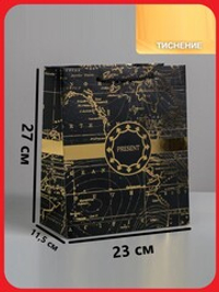 Пакет подарочный Gold present 23*27*11,5см