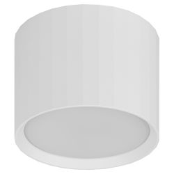 Светильник настенно-потолочный спот ЭРА OL39 WH под GX53 IP20 белый | Накладные светильники