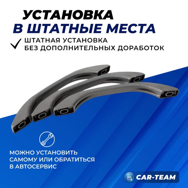 Ручки потолка (поручни)  Лада Приора, Гранта, Калина 2, Гранта FL, Калина 1, Шевроле Нива, ВАЗ 2110, 2111, 2112 (черный лак)