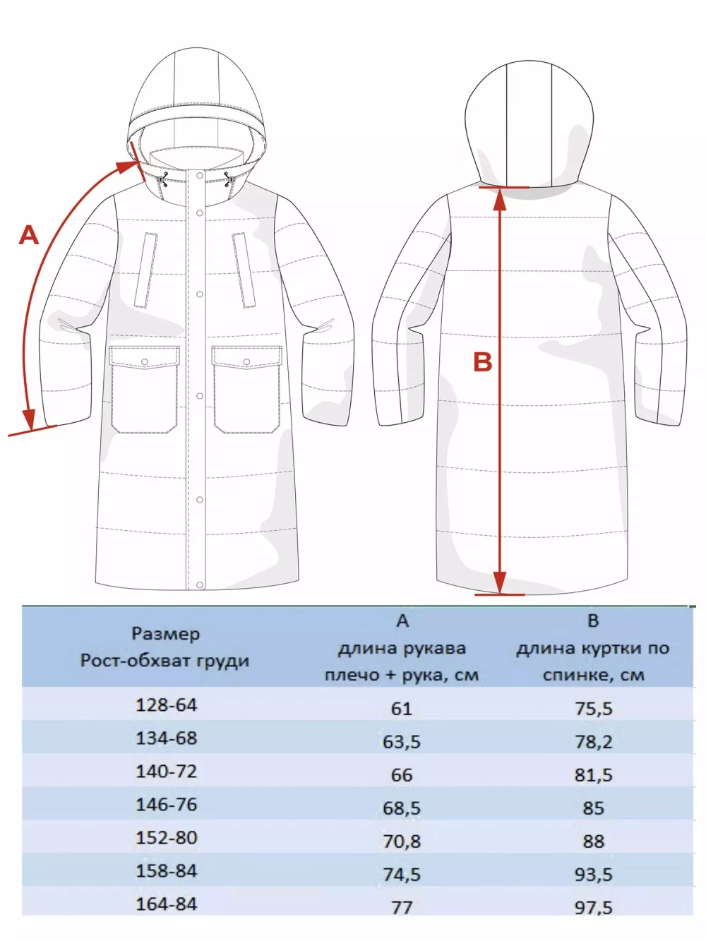 Пальто "Амори" д/д BATIK 136-23з-2