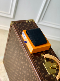 Louis Vuitton Multiple Wallet