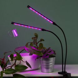 Светильник для растений на прищепке ЭРА FITO-20W-АLED-RB красно-синего спектра 20 Вт | Интерьерные фито светильники