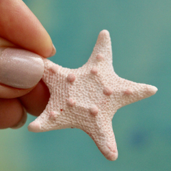Молды силиконовые для творчества "Набор 3 молда: ракушка, морской ёж, морская звезда"/ форма для полимерной глины, мыла, воска, гипса и эпоксидной смолы