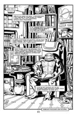 Комикс Рассказы о Черепашках-Ниндзя. Том 1