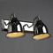 Спот Arte Lamp Campana A9557AP-2CC