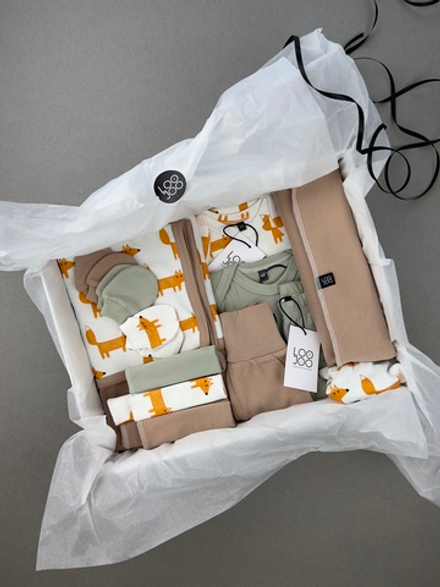 Сет LooJoo Newborn Лисы из 16-ти предметов (unisex)