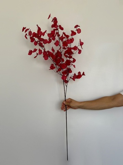 Абрикос цветущий (сакура) / Арт 1175