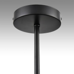 Потолочная люстра Lumion TIDINA 8238/8C