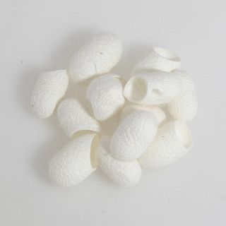 Шелковые коконы  в упаковке (20шт)
