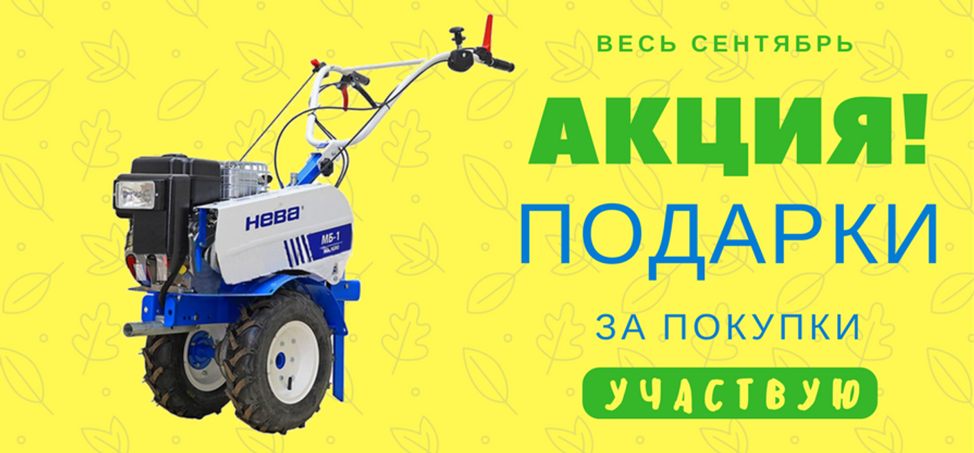 Сентябрь подарков