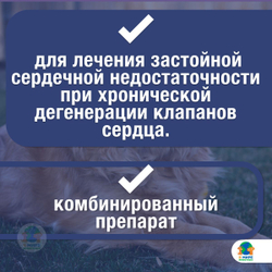 Ceva, Кардалис, 5 мг/40 мг, таблетки для лечения сердечной недостаточности 30 шт. Беназеприл.