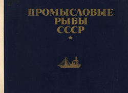 Промысловые рыбы СССР | Нет автора