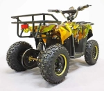 Электроквадроцикл Green Camel Гоби K40 (36V 800W R6 Цепь) быстросъем