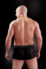 Ажурные боксеры See-Thru Boxer черные, 2XL/3XL (Цвет: черный)