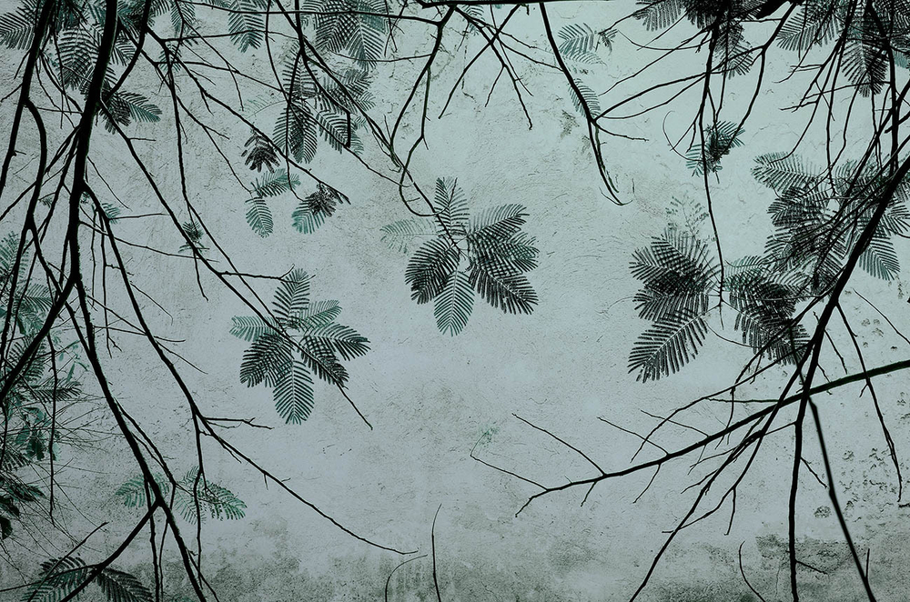 Обои с узором из линий 19501