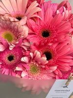 Букет из гербер в розовом оттенке 15 шт