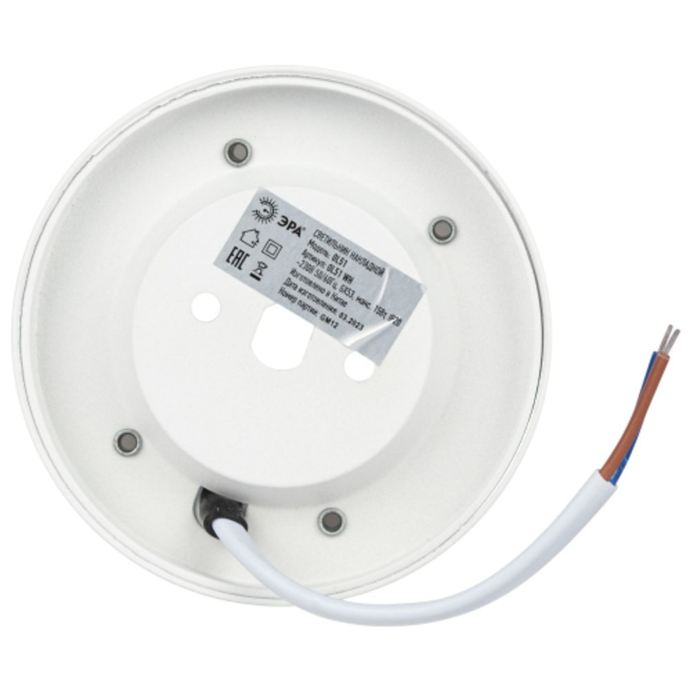 Светильник настенно-потолочный спот ЭРА OL51 WH GX53 IP20 белый