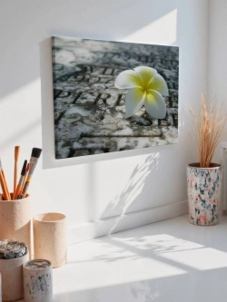 Картина на стену 40 X 50 Цветок франжипани