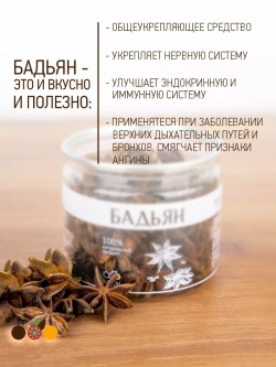 Бадьян звездочки (анис звездчатый) сушеный 80 г