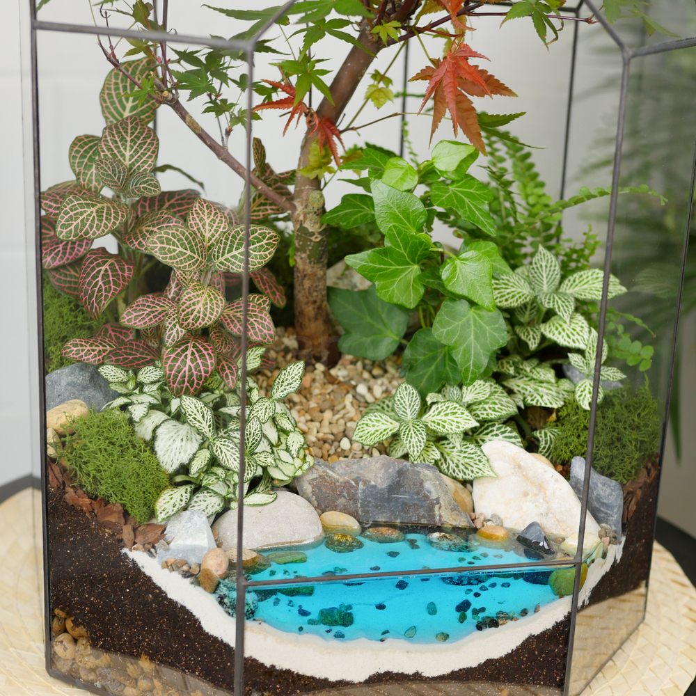 Готовый флорариум бонсай Клён Бонсариум XL с озером
