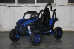 Багги Green Camel Намиб T008 (48V 1200W R6 Дифф) аморт