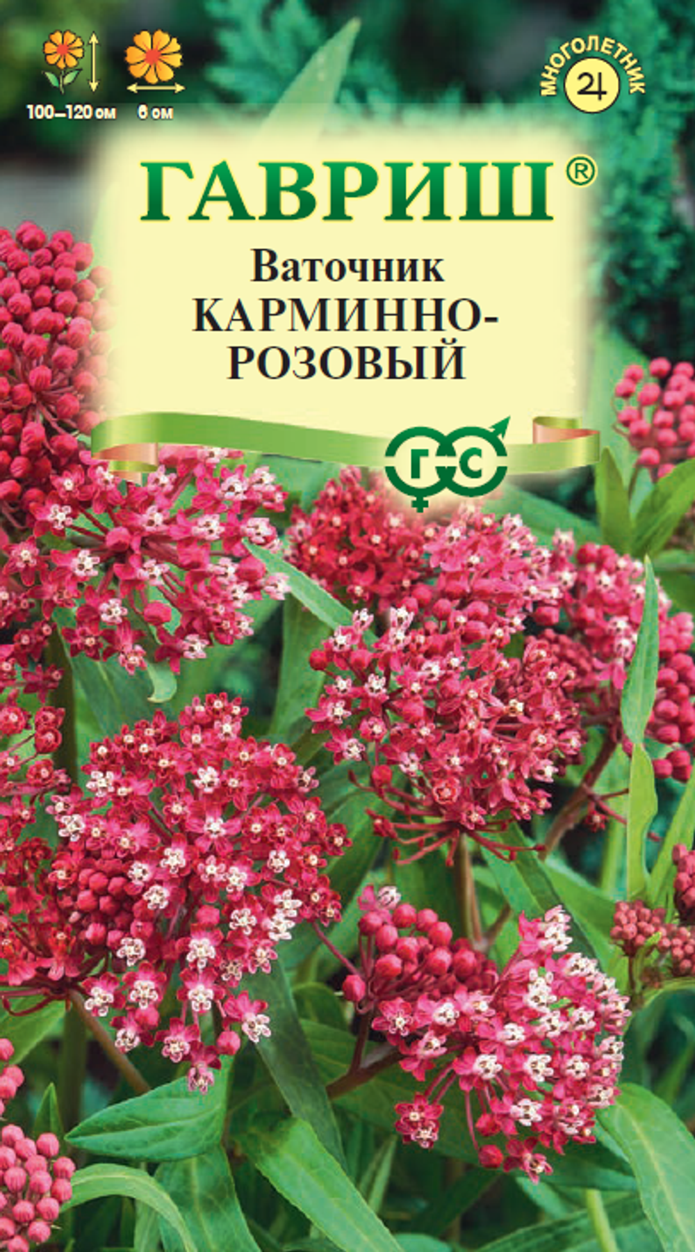 vatochnik_mini4