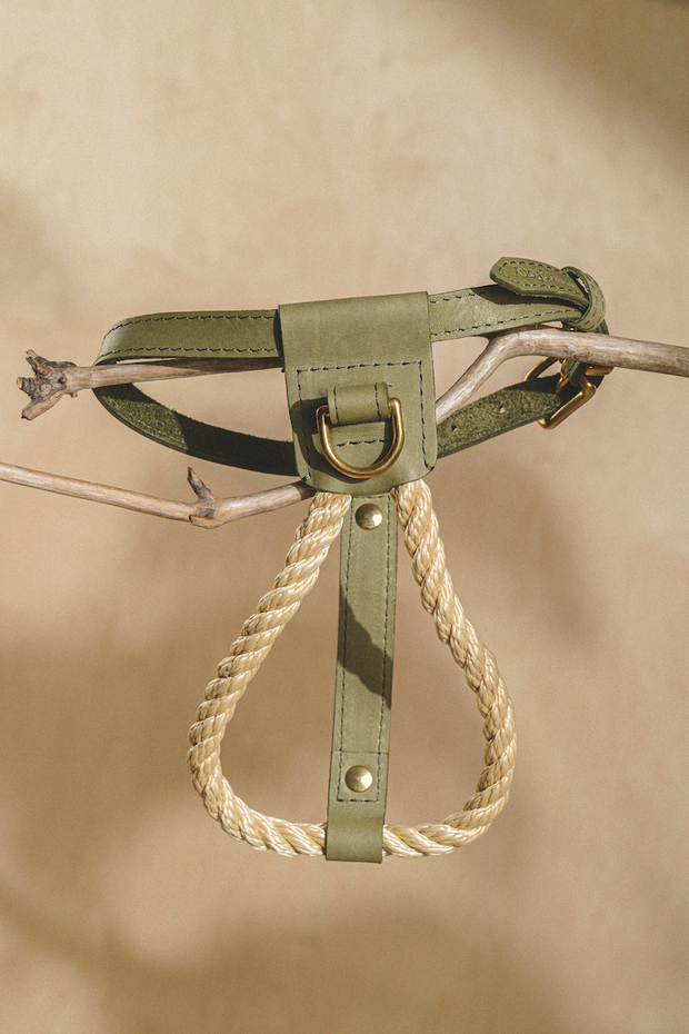 Шлейка "Кантри-пони" Зеленый