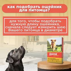 Ошейник от блох, клещей, вшей и власоедов Дана Ультра для собак Светло-зеленный, 60см